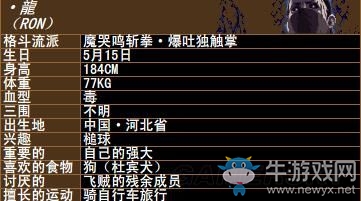 《拳皇》拳皇系列人物背景資料圖鑒