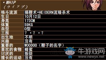 《拳皇》拳皇系列人物背景資料圖鑒