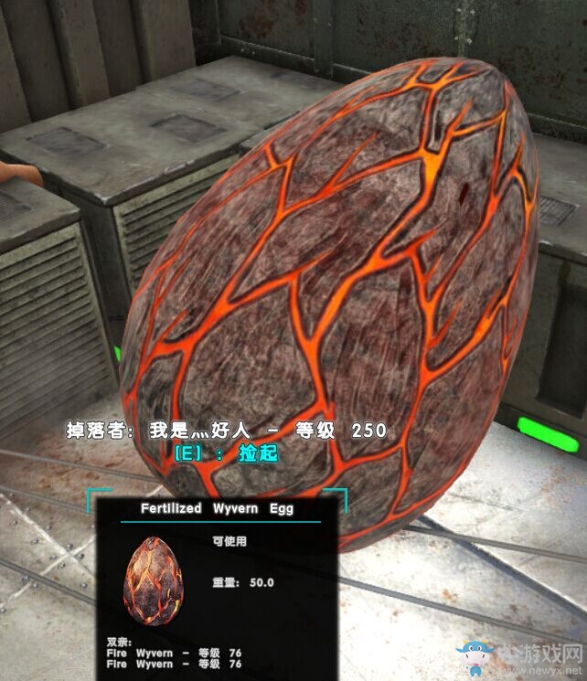 《方舟：生存進(jìn)化》焦土飛龍孵化飼養(yǎng)方法
