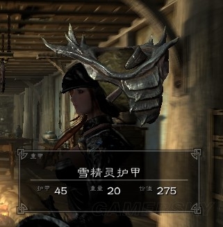《上古卷軸5》特殊武器裝備物品圖鑒大全