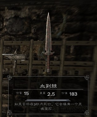 《上古卷軸5》特殊武器裝備物品圖鑒大全