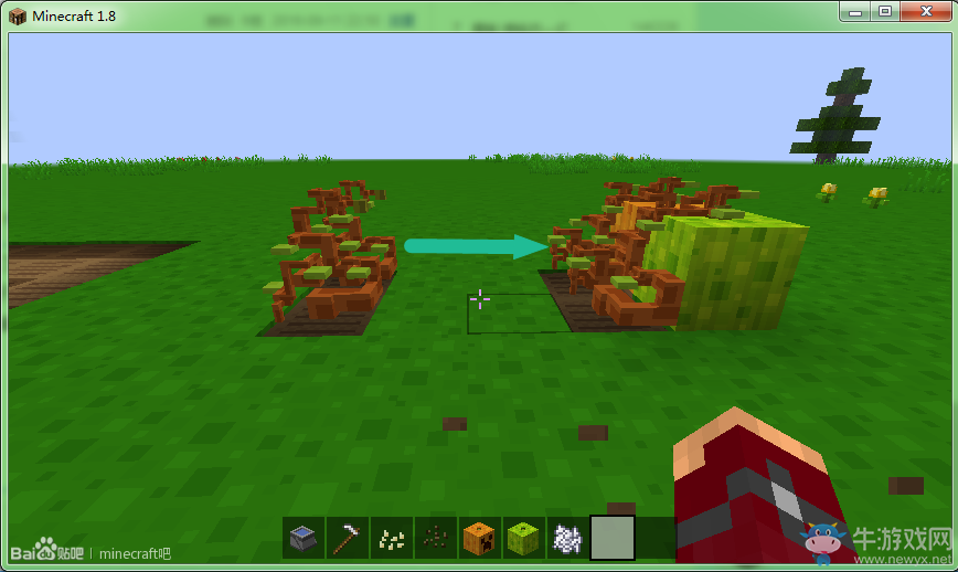 《我的世界》農作物及樹木種植入門教程