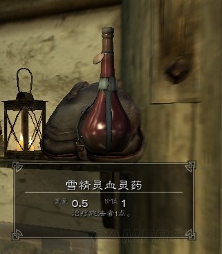 《上古卷軸5》特殊武器裝備物品圖鑒大全