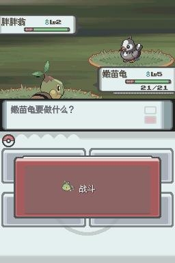 《口袋妖怪：鉆石》全流程圖文攻略