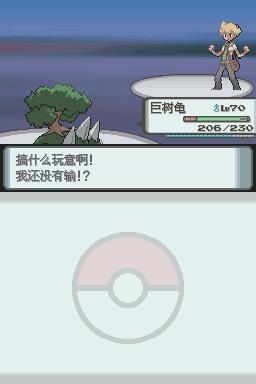 《口袋妖怪：鉆石》全流程圖文攻略