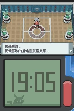 《口袋妖怪：鉆石》全流程圖文攻略