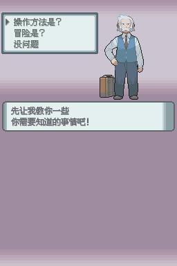 《口袋妖怪：鉆石》全流程圖文攻略