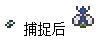 《泰拉瑞亞》小動物捕捉方法攻略
