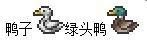 《泰拉瑞亞》小動物捕捉方法攻略