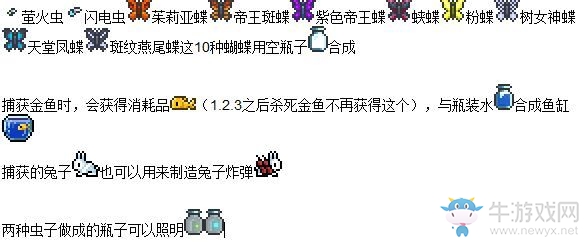 《泰拉瑞亞》小動物捕捉方法攻略