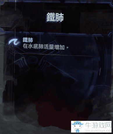 《羞辱2》全骸骨護符效果屬性介紹