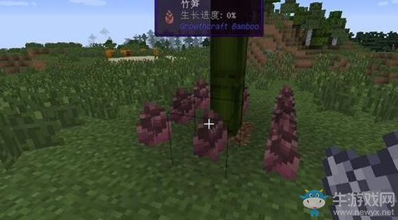 《我的世界》竹子正確種植方法