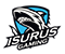 《LOL》2018MSI季中邀請賽 恭喜RNG！