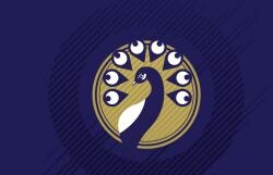 《FIFA 18》全成就達(dá)成條件一覽