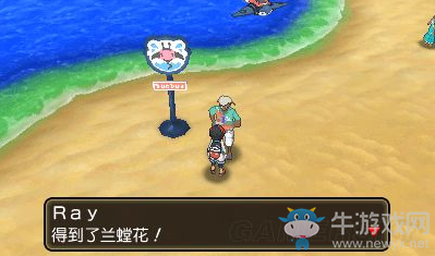 《口袋妖怪：究極日月》霸主貼紙作用說明