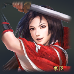 《信長之野望：大志》全美女排名