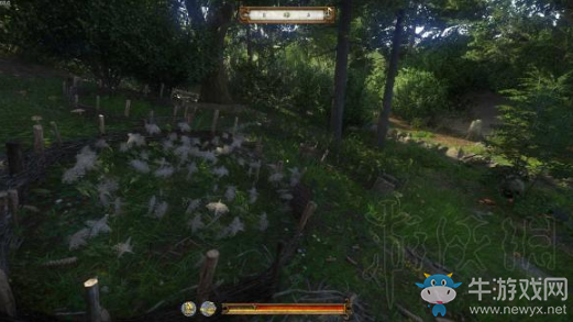 《天國(guó)：拯救》草藥位置一覽