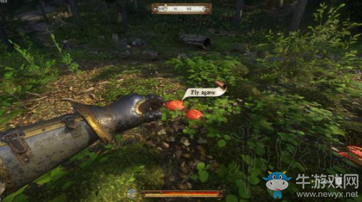 《天國(guó)：拯救》草藥位置一覽