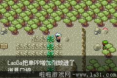 《口袋妖怪：永恒之沫3.0》一周目圖文攻略