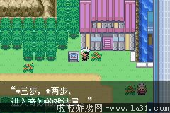 《口袋妖怪：永恒之沫3.0》一周目圖文攻略