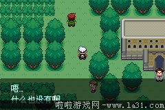 《口袋妖怪：永恒之沫3.0》一周目圖文攻略