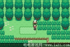 《口袋妖怪：永恒之沫3.0》一周目圖文攻略