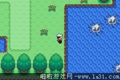 《口袋妖怪：永恒之沫3.0》一周目圖文攻略