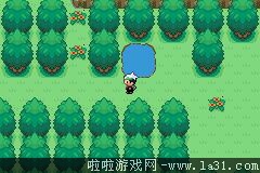 《口袋妖怪：永恒之沫3.0》一周目圖文攻略
