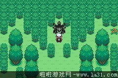 《口袋妖怪：永恒之沫3.0》一周目圖文攻略