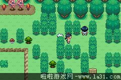 《口袋妖怪：永恒之沫3.0》一周目圖文攻略
