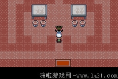 《口袋妖怪：永恒之沫3.0》一周目圖文攻略