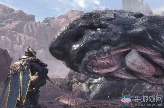 《怪物獵人：世界》魚龍種怪物介紹