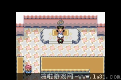 《口袋妖怪：永恒之沫3.0》一周目圖文攻略