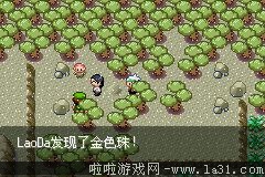 《口袋妖怪：永恒之沫3.0》一周目圖文攻略