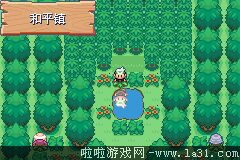 《口袋妖怪：永恒之沫3.0》一周目圖文攻略