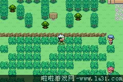 《口袋妖怪：永恒之沫3.0》一周目圖文攻略