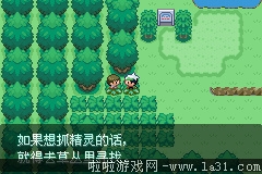 《口袋妖怪：永恒之沫3.0》一周目圖文攻略