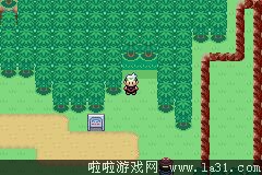 《口袋妖怪：永恒之沫3.0》一周目圖文攻略