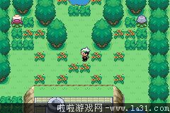 《口袋妖怪：永恒之沫3.0》一周目圖文攻略