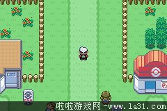 《口袋妖怪：永恒之沫3.0》一周目圖文攻略