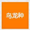 《怪物獵人：世界》鳥龍種怪物介紹