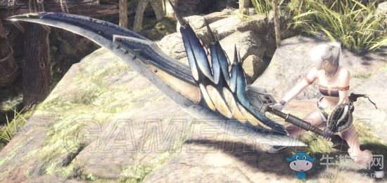 《怪物獵人：世界》風飄龍斬斧數據圖鑒一覽