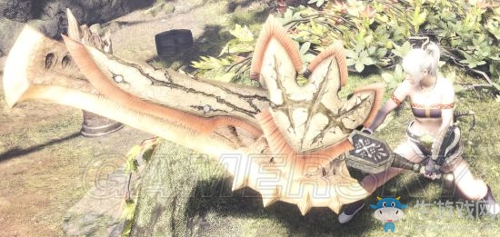 《怪物獵人：世界》泥魚(yú)龍斬斧數(shù)據(jù)圖鑒一覽