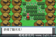 《口袋妖怪：永恒之炎Zero》一周目過關(guān)圖文攻略