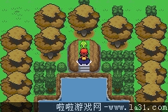 《口袋妖怪：永恒之炎Zero》一周目過關(guān)圖文攻略