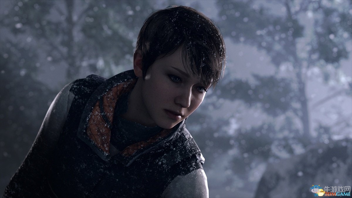 《底特律：變?nèi)恕啡宋锝榻B