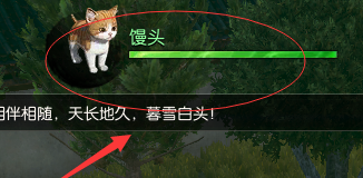 《逆水寒》貓咪寵物獲取攻略