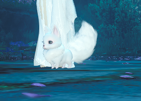 《逆水寒》狐貍跟寵一覽