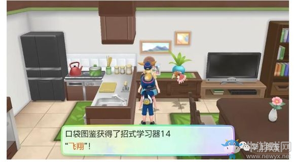 《精靈寶可夢Let's Go！皮卡丘/伊布》通關(guān)攻略大全