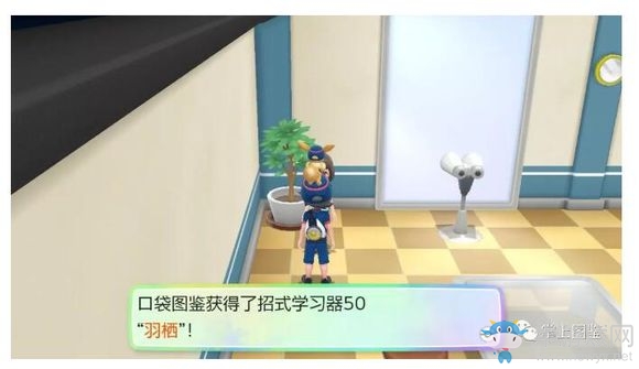 《精靈寶可夢Let's Go！皮卡丘/伊布》12號道路過關(guān)攻略介紹